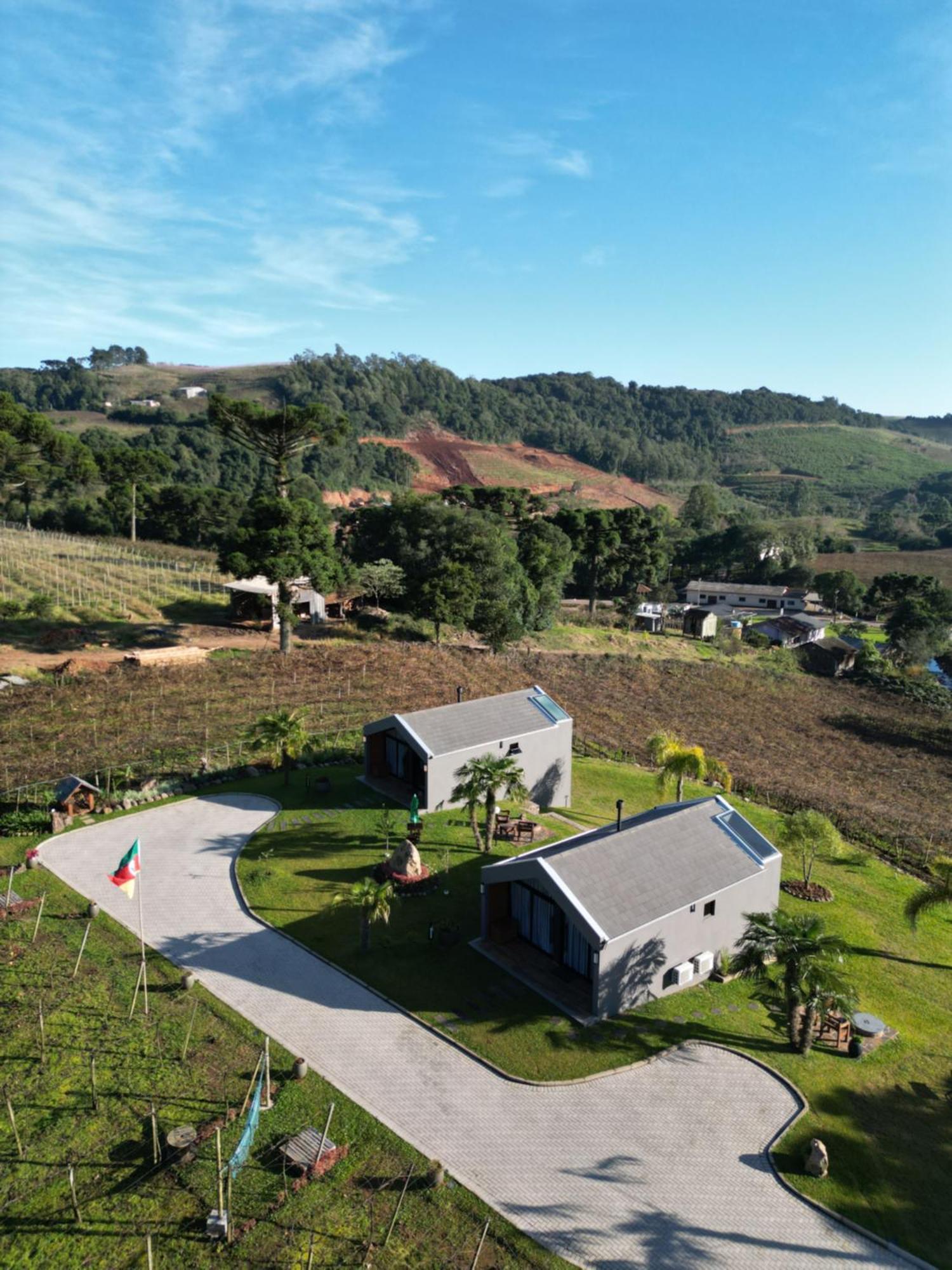 Le Vigne